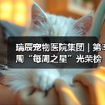 瑞辰每周之星评选结果｜优秀员工风采展示(图2)