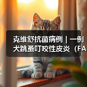 犬跳蚤叮咬性皮炎病例分析｜综合治疗全攻略(图4)