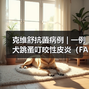 犬跳蚤叮咬性皮炎病例分析｜综合治疗全攻略