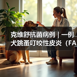 犬跳蚤叮咬性皮炎病例分析｜综合治疗全攻略(图3)