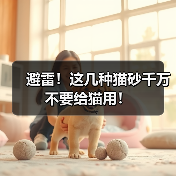避雷猫砂类型｜新手养猫必看安全指南(图1)