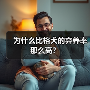 比格犬弃养率高原因解析｜养狗注意事项全攻略
