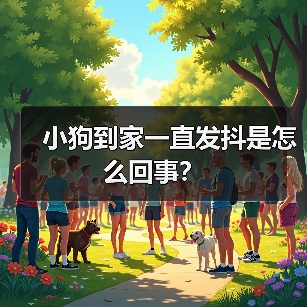 小狗到家发抖原因及应对方法｜常见症状全解析(图1)