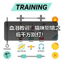 猫咪犯错后千万别打｜科学训练全攻略