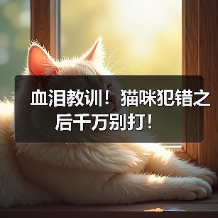 猫咪犯错后千万别打｜科学训练全攻略(图3)