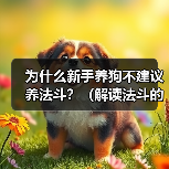 新手养狗不建议养法斗｜养狗注意事项全攻略(图3)