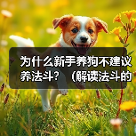 新手养狗不建议养法斗｜养狗注意事项全攻略(图4)