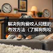 狗狗咬人原因及解决方法｜实用训练指南