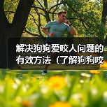 解决狗狗爱咬人问题的有效方法(了解狗狗咬人的原因及相应解决方案)(图4) 狗狗咬人原因及解决方法|实用训练指南(图4)