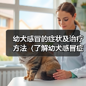 幼犬感冒症状及治疗指南｜宠物健康保护全攻略(图3)
