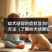 幼犬感冒症状及治疗指南｜宠物健康保护全攻略