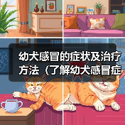 幼犬感冒症状及治疗指南｜宠物健康保护全攻略(图4)