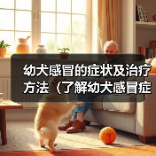 幼犬感冒症状及治疗指南｜宠物健康保护全攻略(图2)