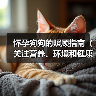 怀孕狗狗的照顾指南(关注营养、环境和健康)(图4) 怀孕狗狗护理全攻略:营养环境健康指南(图4)