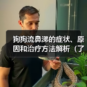 狗狗流鼻涕症状原因与治疗指南｜全面解析