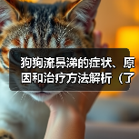狗狗流鼻涕的症状、原因和治疗方法解析(了解狗狗流鼻涕的相关问题,助您有效应对)(图3) 狗狗流鼻涕症状原因与治疗指南|全面解析(图3)