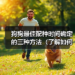 狗狗最佳配种时间确定的三种方法(了解如何确定狗狗最佳配种时间的三种方法)(图1) 狗狗最佳配种时间确定方法|三种实用技巧全解析(图1)