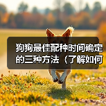 狗狗最佳配种时间确定的三种方法(了解如何确定狗狗最佳配种时间的三种方法)(图2) 狗狗最佳配种时间确定方法|三种实用技巧全解析(图2)