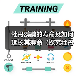 牡丹鹦鹉的寿命及如何延长其寿命(探究牡丹鹦鹉的平均寿命和寿命影响因素,提供延长鹦鹉寿命的建议)(图1) 牡丹鹦鹉寿命延长全攻略|科学饲养与健康养护技巧(图1)