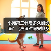 小狗第三针后多久能洗澡?(洗澡时间安排及注意事项)(图3) 小狗第三针后洗澡时间及注意事项|宠物护理全攻略(图3)
