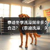泰迪冬季洗澡频率多久合适?(泰迪洗澡,关键是保持干净与健康!)(图2) 泰迪冬季洗澡频率指南|保持干净与健康的核心技巧(图2)