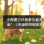 小狗第三针后多久能洗澡?(洗澡时间安排及注意事项)(图2) 小狗第三针后洗澡时间及注意事项|宠物护理全攻略(图2)