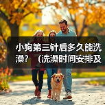 小狗第三针后多久能洗澡?(洗澡时间安排及注意事项)(图1) 小狗第三针后洗澡时间及注意事项|宠物护理全攻略(图1)