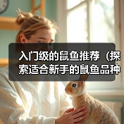 入门级鼠鱼推荐｜新手友好品种及饲养要点全解析(图2)