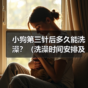 小狗第三针后多久能洗澡?(洗澡时间安排及注意事项)(图4) 小狗第三针后洗澡时间及注意事项|宠物护理全攻略(图4)