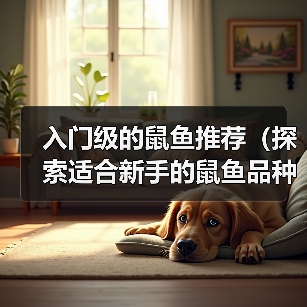 入门级鼠鱼推荐｜新手友好品种及饲养要点全解析(图3)