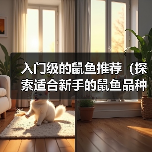 入门级鼠鱼推荐｜新手友好品种及饲养要点全解析(图4)