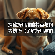 探秘折耳猫的特点与饲养技巧(了解折耳猫的起源及特色,打造幸福宠物生活)(图3) 折耳猫饲养全攻略|特点与技巧打造幸福生活(图3)