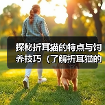 探秘折耳猫的特点与饲养技巧(了解折耳猫的起源及特色,打造幸福宠物生活)(图2) 折耳猫饲养全攻略|特点与技巧打造幸福生活(图2)