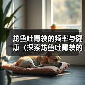 龙鱼吐胃袋频率与健康关系｜养护全攻略