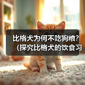 比格犬为何不吃狗粮?(探究比格犬的饮食习惯及注意事项)(图1) 比格犬不吃狗粮怎么办|饮食调整全攻略(图1)