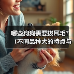 哪些狗狗需要拔耳毛?(不同品种犬的特点与耳毛清理方法)(图2) 哪些狗狗需要拔耳毛|耳毛清理实用指南(图2)