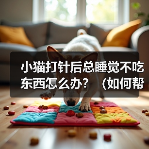 小猫打针后嗜睡拒食怎么办｜恢复食欲全攻略(图4)