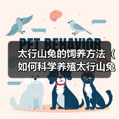 太行山兔的饲养方法(如何科学养殖太行山兔,让它们健康快乐地成长)(图4) 太行山兔科学养殖方法|健康快乐成长全攻略(图4)