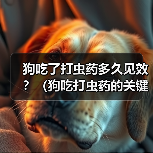 狗吃了打虫药多久见效?(狗吃打虫药的关键事项及时间预期)(图1) 狗狗吃打虫药多久见效|全面管理健康指南(图1)