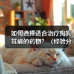 如何选择适合治疗狗狗耳螨的药物?(经验分享及措施指南,从牌子到使用技巧一应俱全)(图4) 如何选择狗狗耳螨药物|全面指南与实用技巧(图4)