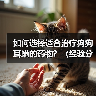 如何选择适合治疗狗狗耳螨的药物?(经验分享及措施指南,从牌子到使用技巧一应俱全)(图3) 如何选择狗狗耳螨药物|全面指南与实用技巧(图3)