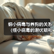 细小病毒与养狗的关系(细小病毒的潜伏期和狗的养殖时间)(图4) 细小病毒与养狗时间关系全攻略(图4)