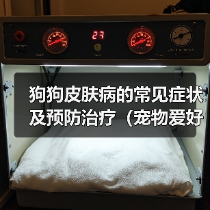 狗狗皮肤病的常见症状及预防治疗(宠物爱好者必看!狗狗皮肤病的预防和治疗方法)(图1) 狗狗皮肤病症状与防治方法|宠物健康实用指南(图1)