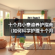 十个月小泰迪养护指南(如何科学护理十个月大的泰迪狗?)(图1) 十个月泰迪科学养护指南|全面实用技巧分享(图1)