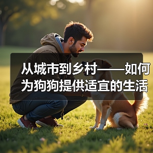 从城市到乡村——如何为狗狗提供适宜的生活环境(狗狗饲养需要考虑的因素及方法)(图4) 狗狗生活环境选择指南|城市乡村饲养全攻略(图4)