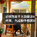 幼猫到家千万别做这6件事,九成新手都踩坑!(图1) 幼猫到家千万别做这6件事|新手养猫核心技巧(图1)