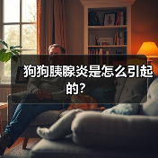 狗狗胰腺炎是怎么引起的?(图3) 狗狗胰腺炎常见诱因及预防方法|实用指南(图3)