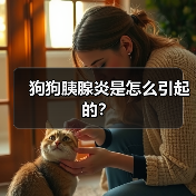 狗狗胰腺炎常见诱因及预防方法｜实用指南
