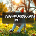 狗狗胰腺炎是怎么引起的?(图4) 狗狗胰腺炎常见诱因及预防方法|实用指南(图4)