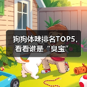 狗狗体味排名TOP5,看看谁是“臭宝”(图1) 狗狗体味排名TOP5|如何有效改善宠物异味问题(图1)